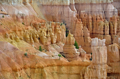 notice the yellow in the hoodoos